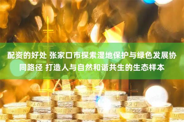 配资的好处 张家口市探索湿地保护与绿色发展协同路径 打造人与自然和谐共生的生态样本