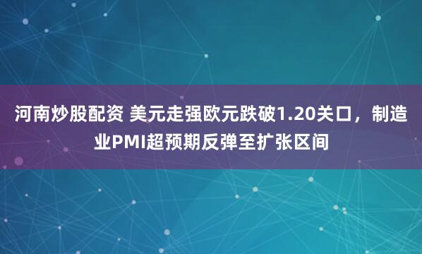 河南炒股配资 美元走强欧元跌破1.20关口，制造业PMI超预期反弹至扩张区间