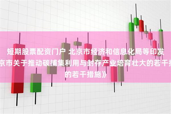 短期股票配资门户 北京市经济和信息化局等印发《北京市关于推动碳捕集利用与封存产业培育壮大的若干措施》